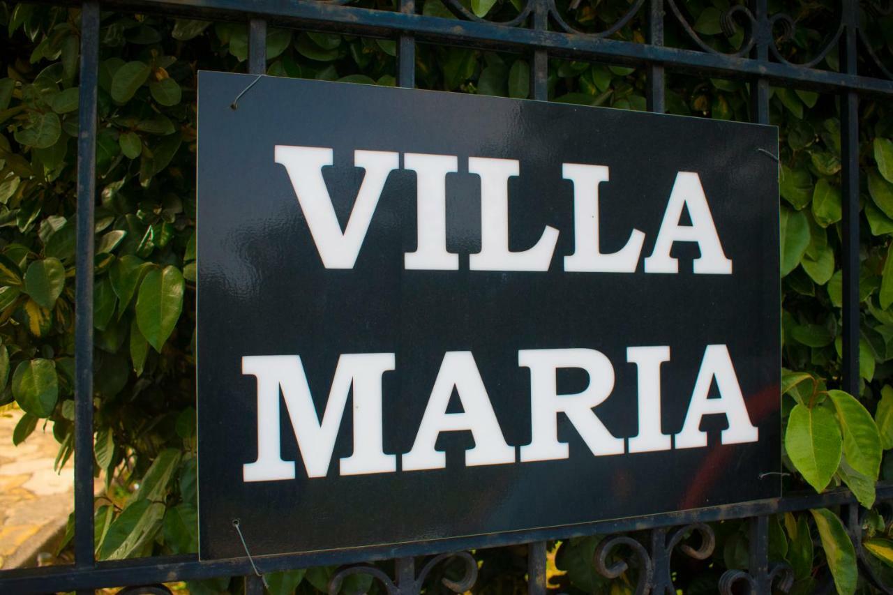 Villa-Maria تريوبيترا المظهر الخارجي الصورة