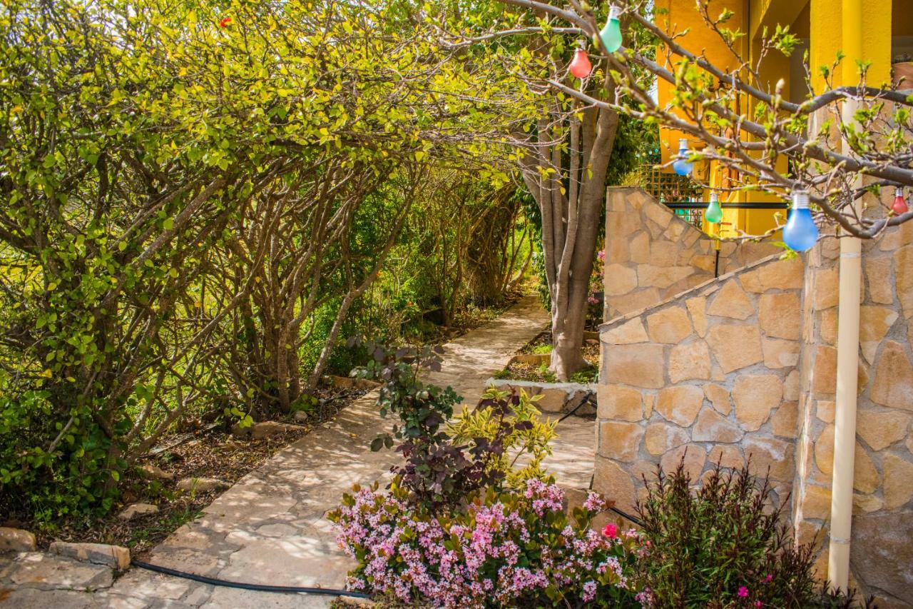 Villa-Maria تريوبيترا المظهر الخارجي الصورة