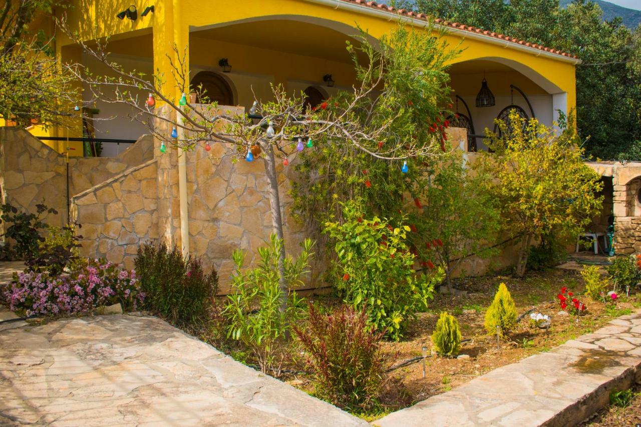 Villa-Maria تريوبيترا المظهر الخارجي الصورة